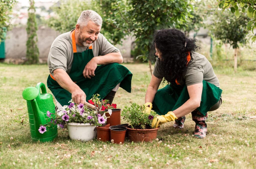 ever green gardening tips for beginners